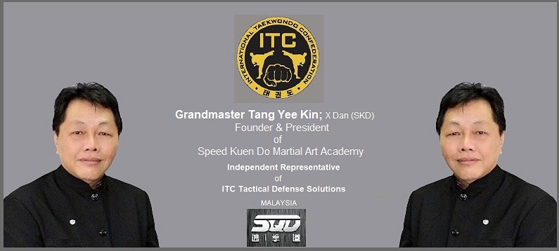 Grandmaster Tang Yee Kin Poster
