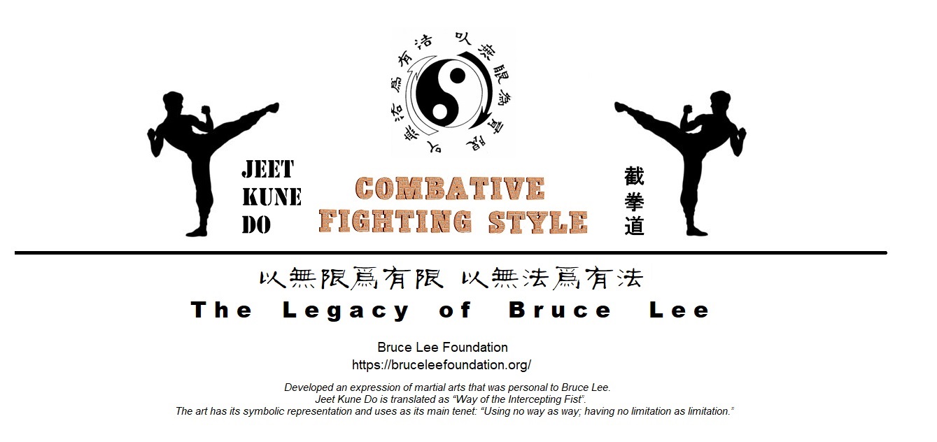 combating fighting style